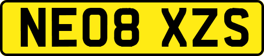 NE08XZS