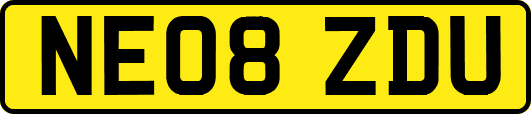 NE08ZDU