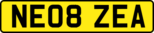 NE08ZEA