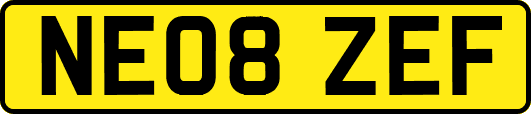 NE08ZEF