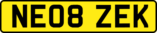 NE08ZEK