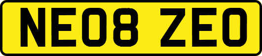NE08ZEO