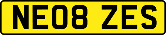 NE08ZES
