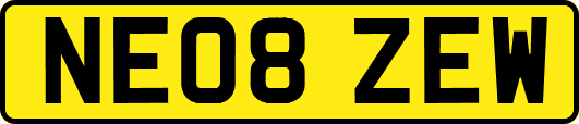 NE08ZEW