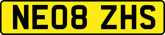 NE08ZHS