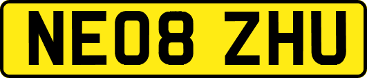 NE08ZHU