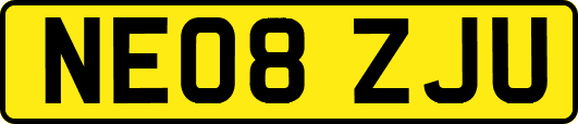 NE08ZJU