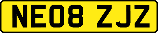 NE08ZJZ