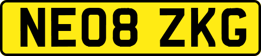 NE08ZKG