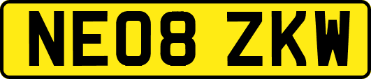 NE08ZKW