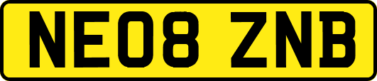 NE08ZNB