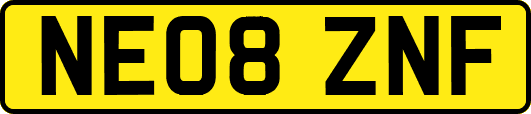 NE08ZNF