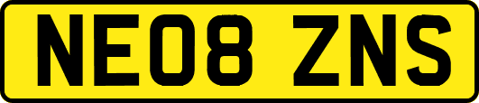 NE08ZNS