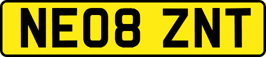 NE08ZNT