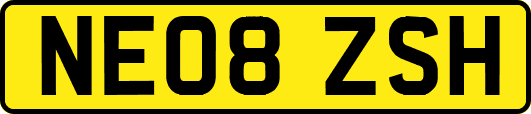NE08ZSH