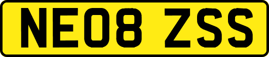 NE08ZSS