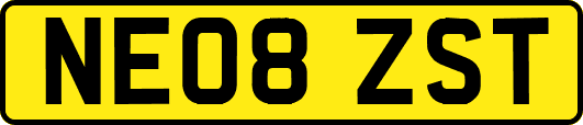 NE08ZST