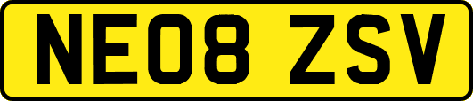 NE08ZSV
