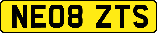 NE08ZTS