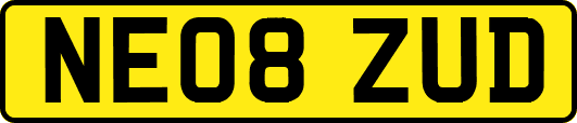 NE08ZUD