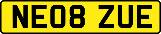 NE08ZUE