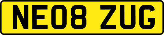 NE08ZUG