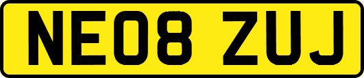 NE08ZUJ