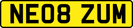 NE08ZUM