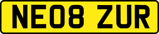 NE08ZUR