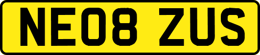 NE08ZUS