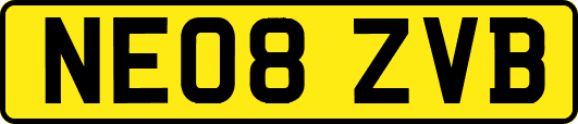 NE08ZVB