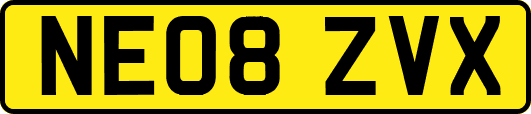 NE08ZVX