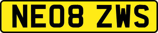 NE08ZWS