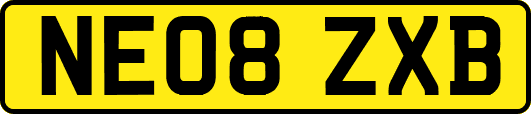 NE08ZXB