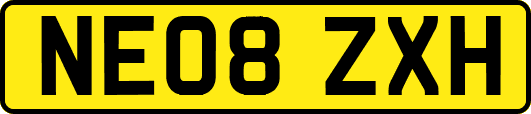 NE08ZXH