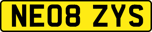 NE08ZYS