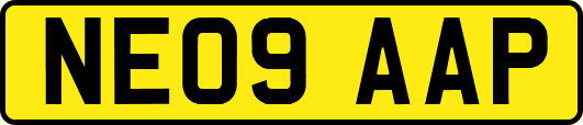 NE09AAP