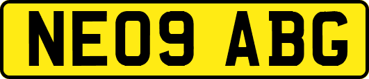 NE09ABG