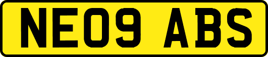 NE09ABS