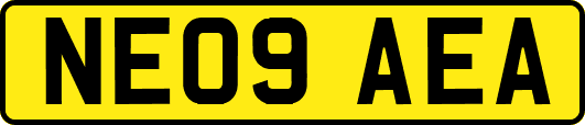 NE09AEA