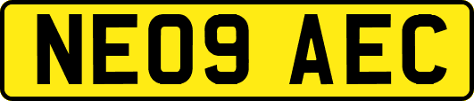 NE09AEC