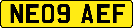 NE09AEF