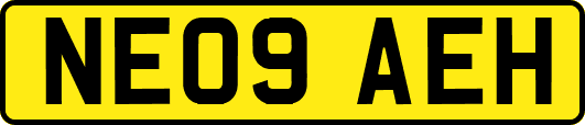 NE09AEH