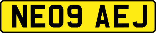 NE09AEJ