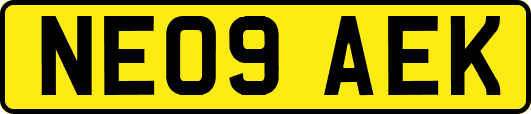 NE09AEK