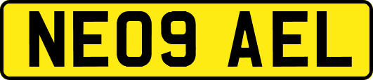 NE09AEL