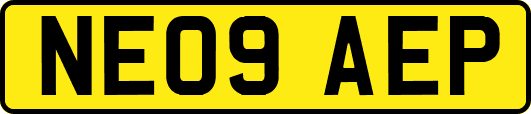 NE09AEP