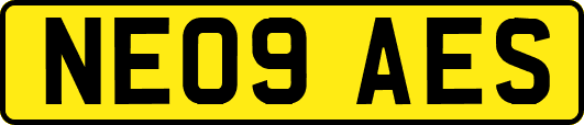NE09AES