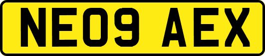NE09AEX