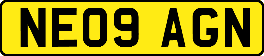 NE09AGN